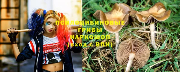 кокс Абаза